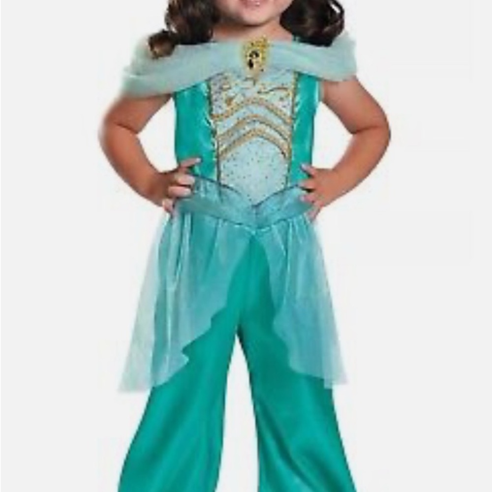 Disney Princess Jasmine Halloween Costume ~ M
